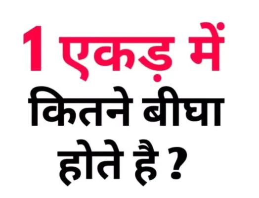 1 ekad mein kitne bigha jameen hoti hai