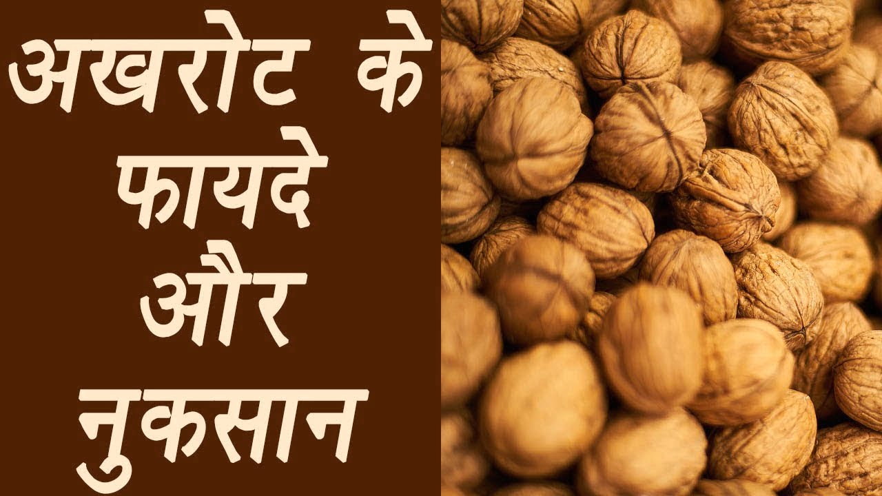 अखरोट खाने के फायदे और नुकसान : यह है कुछ जरुरी जानकारी