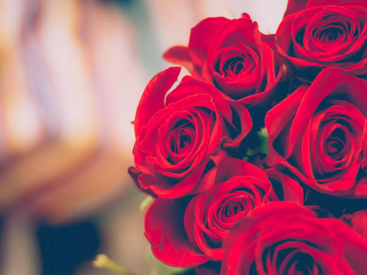 7 फ़रवरी को क्या है ? | Valentine week की शुरुआत इस दिन से होती है!