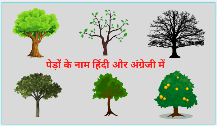 tree names in hindi