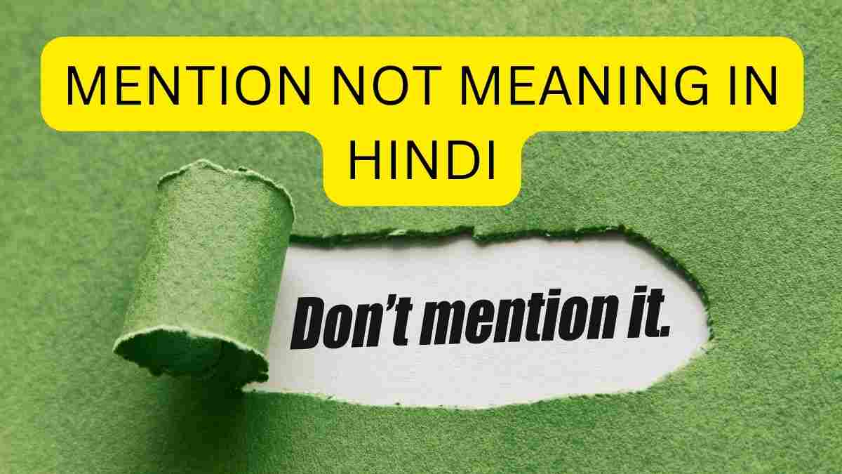 Mention not meaning in hindi