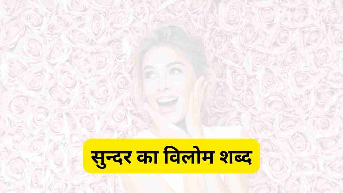 क्या होता है Sundar ka Vilom Shabd सुंदर का विलोम