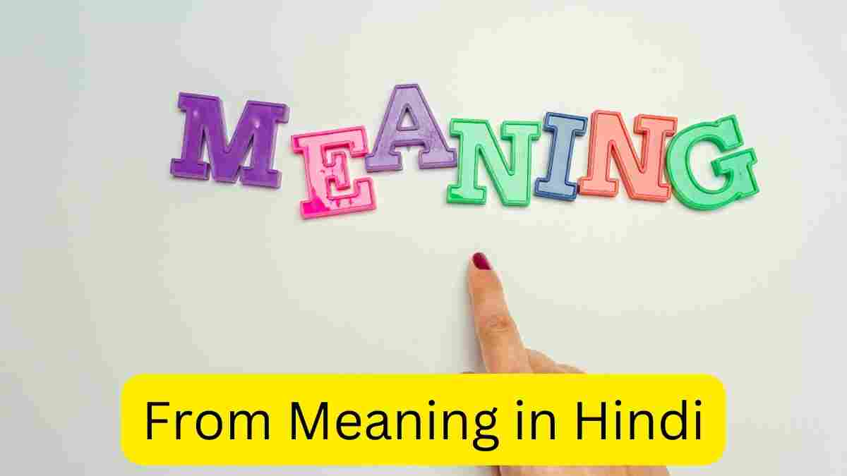 From Meaning in Hindi