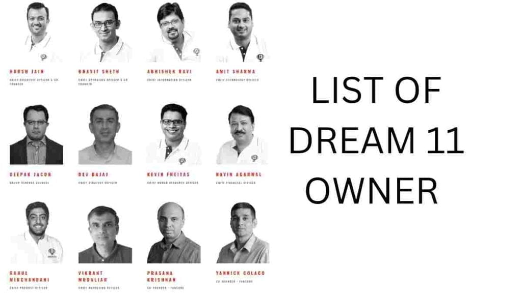List of Dream 11 Owners