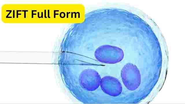 ZIFT Full Form Abbreviation